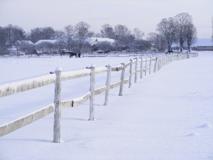 Ice on a Wood Fence