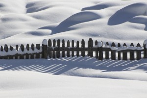 snow-fence