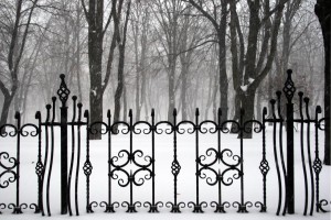 wroughtiron fence on the background of snowcovered park