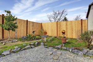 A wood fence bordering a backyard landscape.