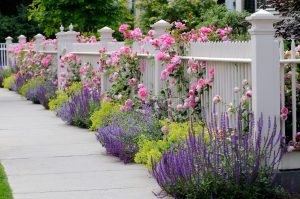 Learn the rules for installing your residential fence in D.C.