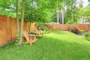 Learn how to mow your lawn without damaging your fence.