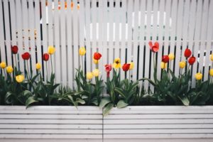 Check out these four ideas for decorating your wooden fence for fall.