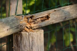 Fence Repairs