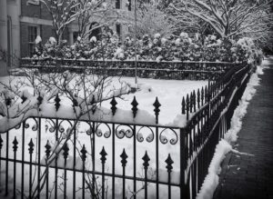 wrought iron fence covered in snow