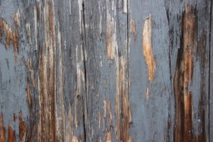 how to spot and prevent fence rot