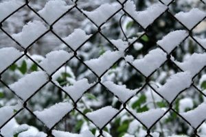 The Fences that Hold Up Best in Cold Weather