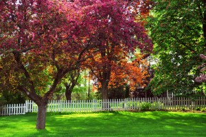 Fence installation in Autumn