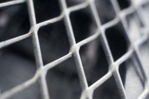 Chain Link Fences