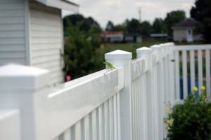 Vinyl Fences