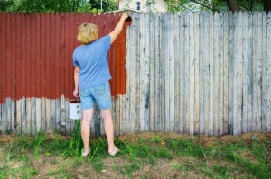 Fence colors