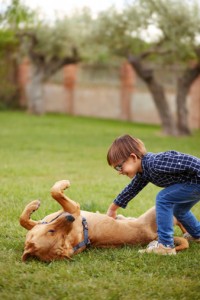 Fences for your family