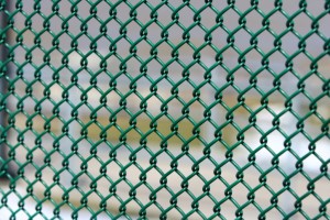 Vinyl coated chain link fence