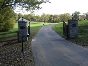 Automated Gate Systems