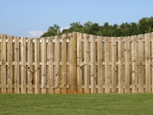 Painting a fence is a great way to show off your personality in Washington D.C.