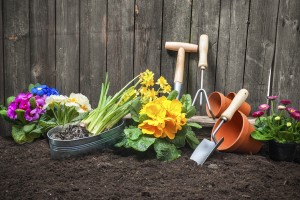 Wooden Fence for garden