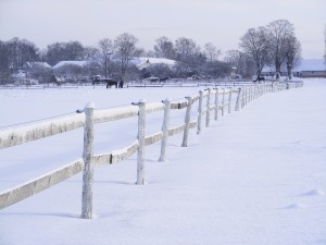 waterproof wooden fence