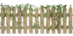Protect your fence by removing dirt and debris.
