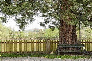 residential fence fall maintenance