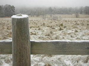 snowwoodenfence