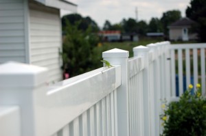 cleaning your vinyl fence for fall
