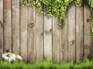 wood fence care